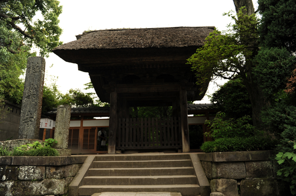 519 kamakura9 DSC_6530.jpg